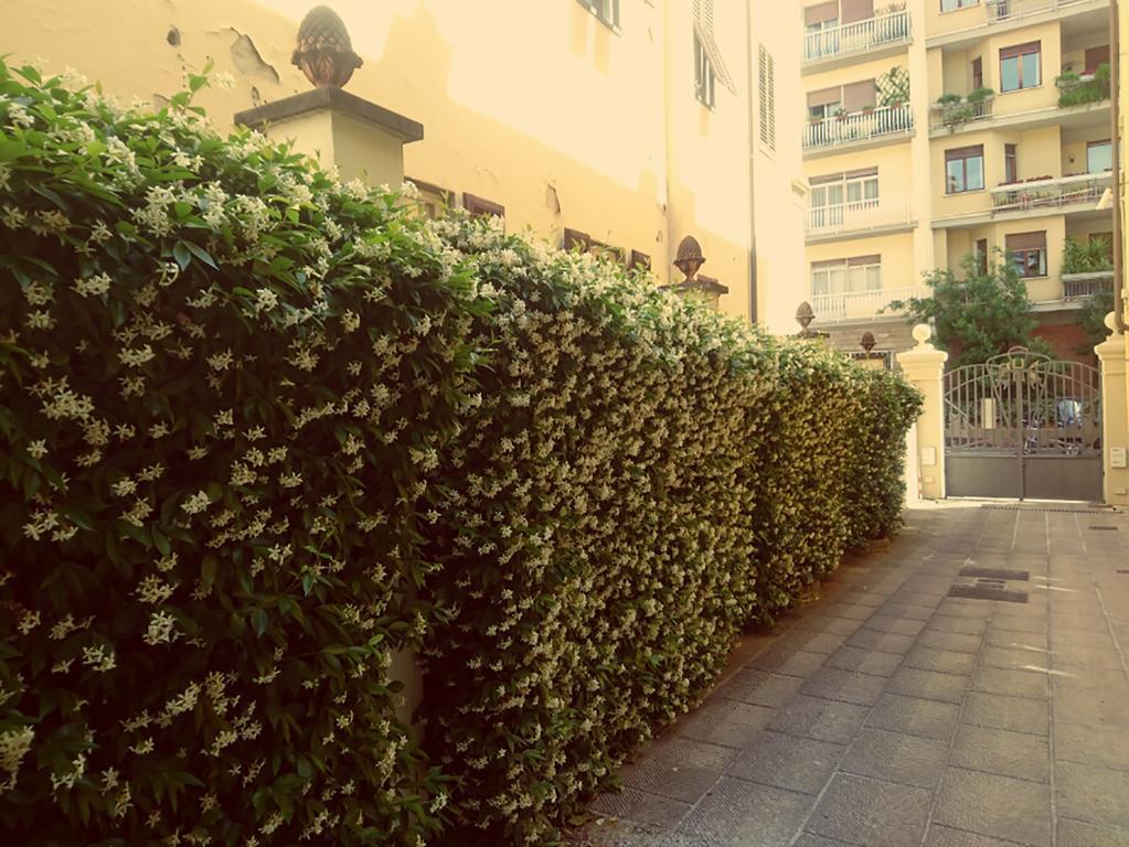 Hotel Della Robbia Florencie Exteriér fotografie
